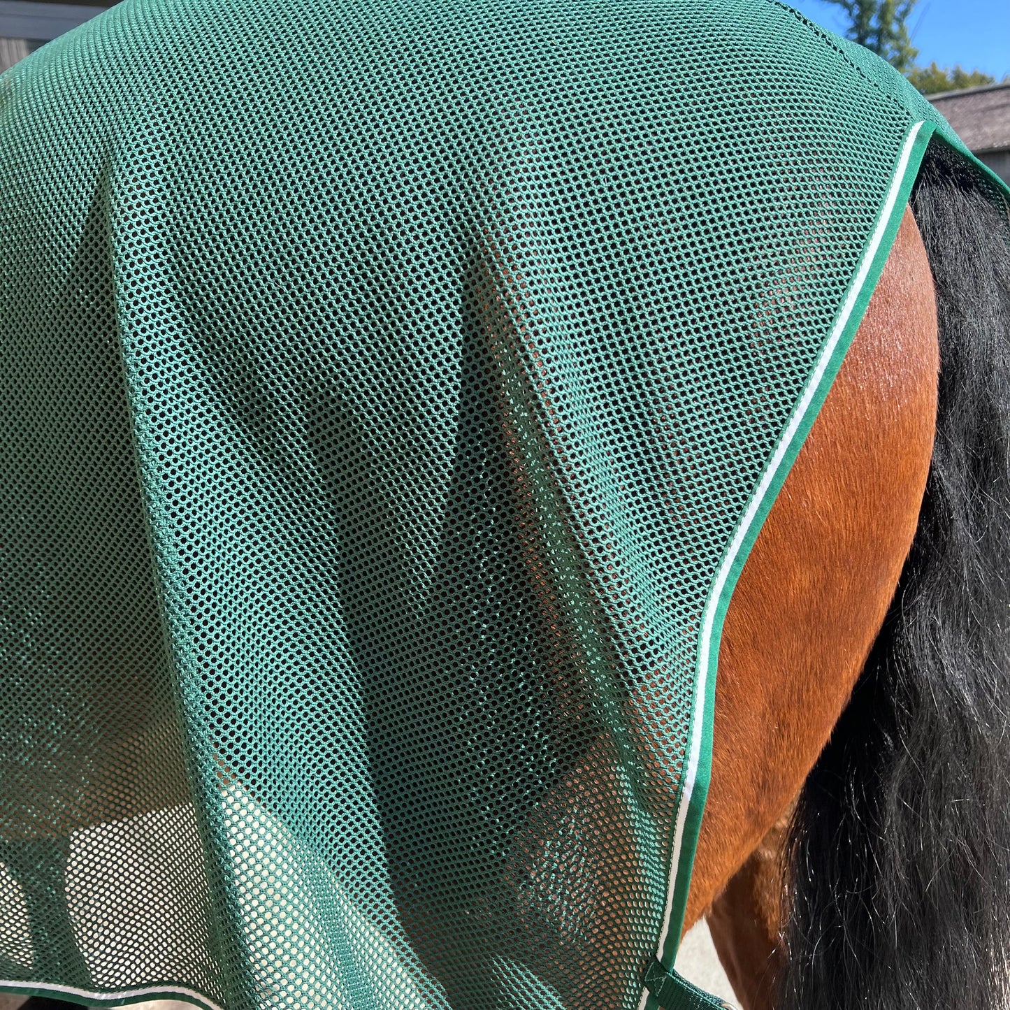 Couverture anti-mouches Horseware 145cm