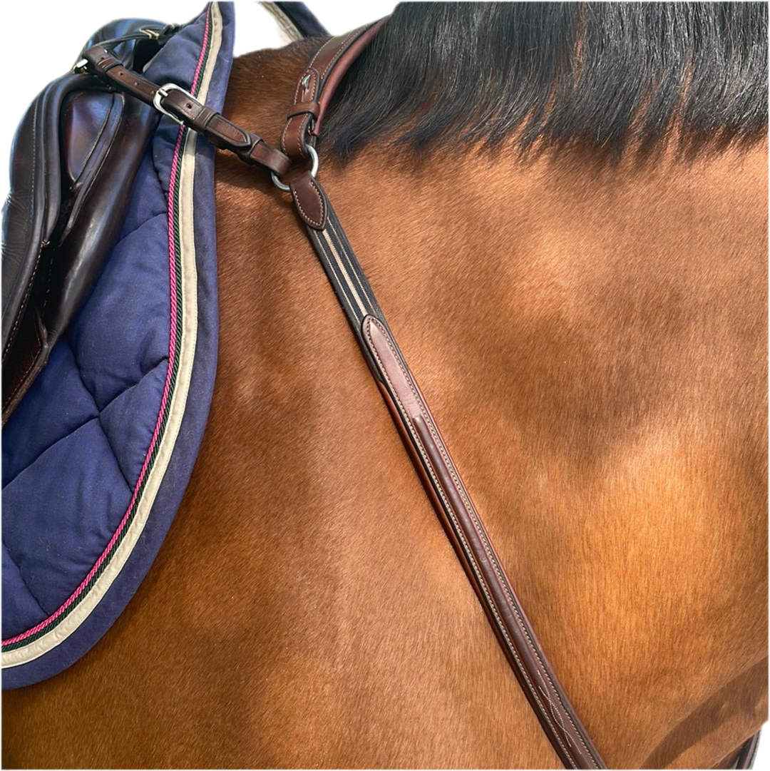 Antares-Jagdhalsband