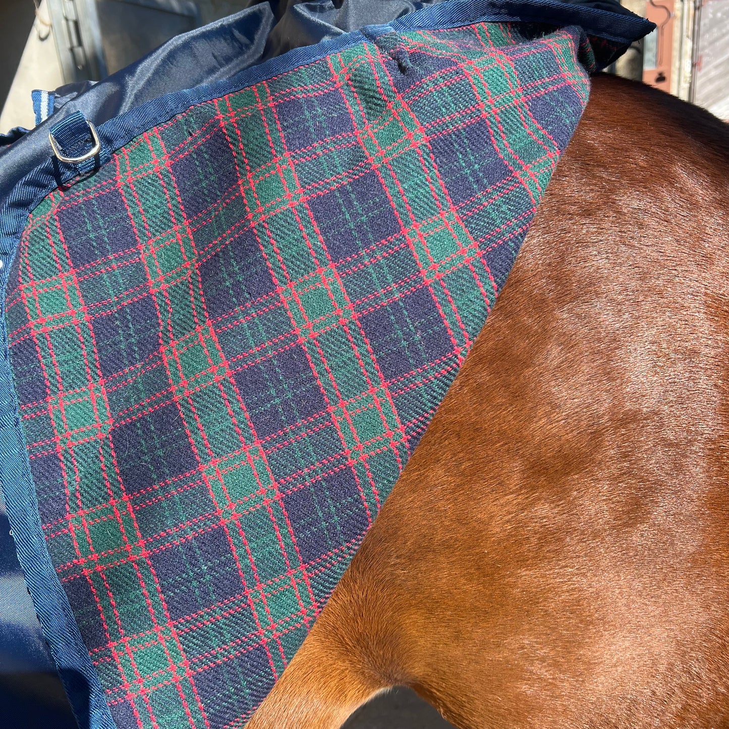 Couvre rein horseware