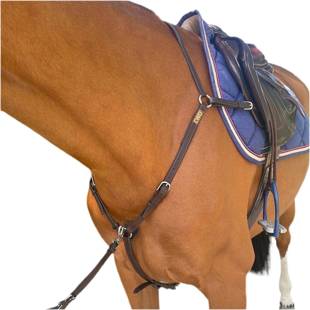 Collier de chasse CWD