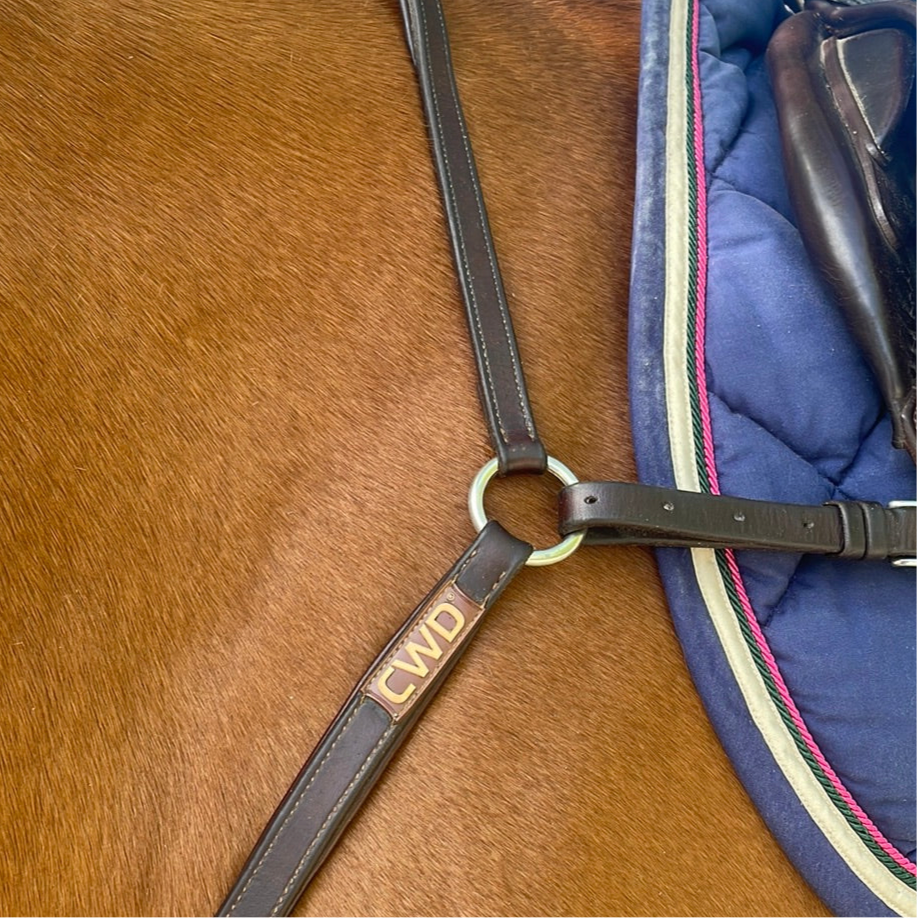 Collier de chasse CWD