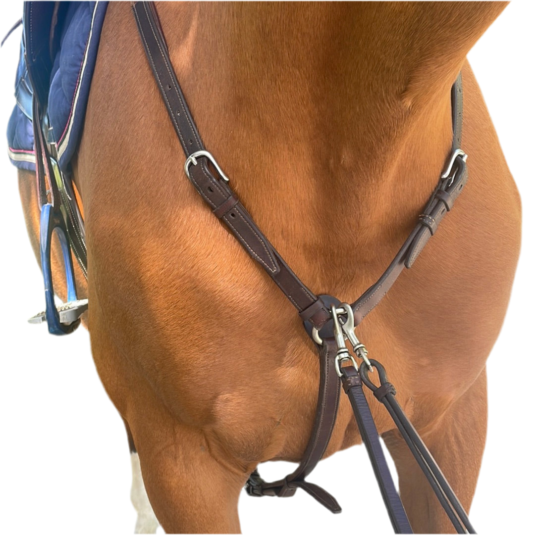 Collier de chasse CWD