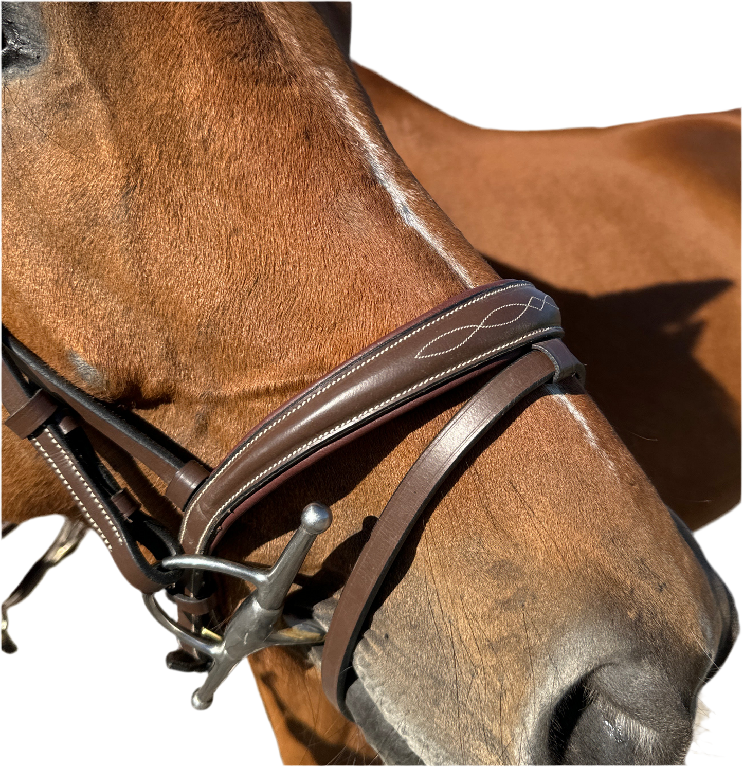 Bridon élégant HFI Tcheval neuf