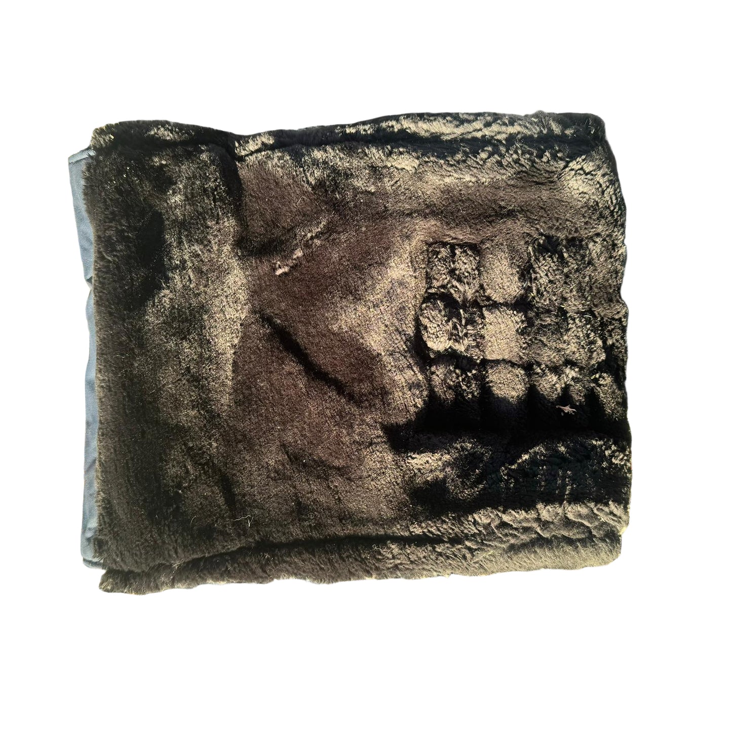 Protection de poitrail Penelope