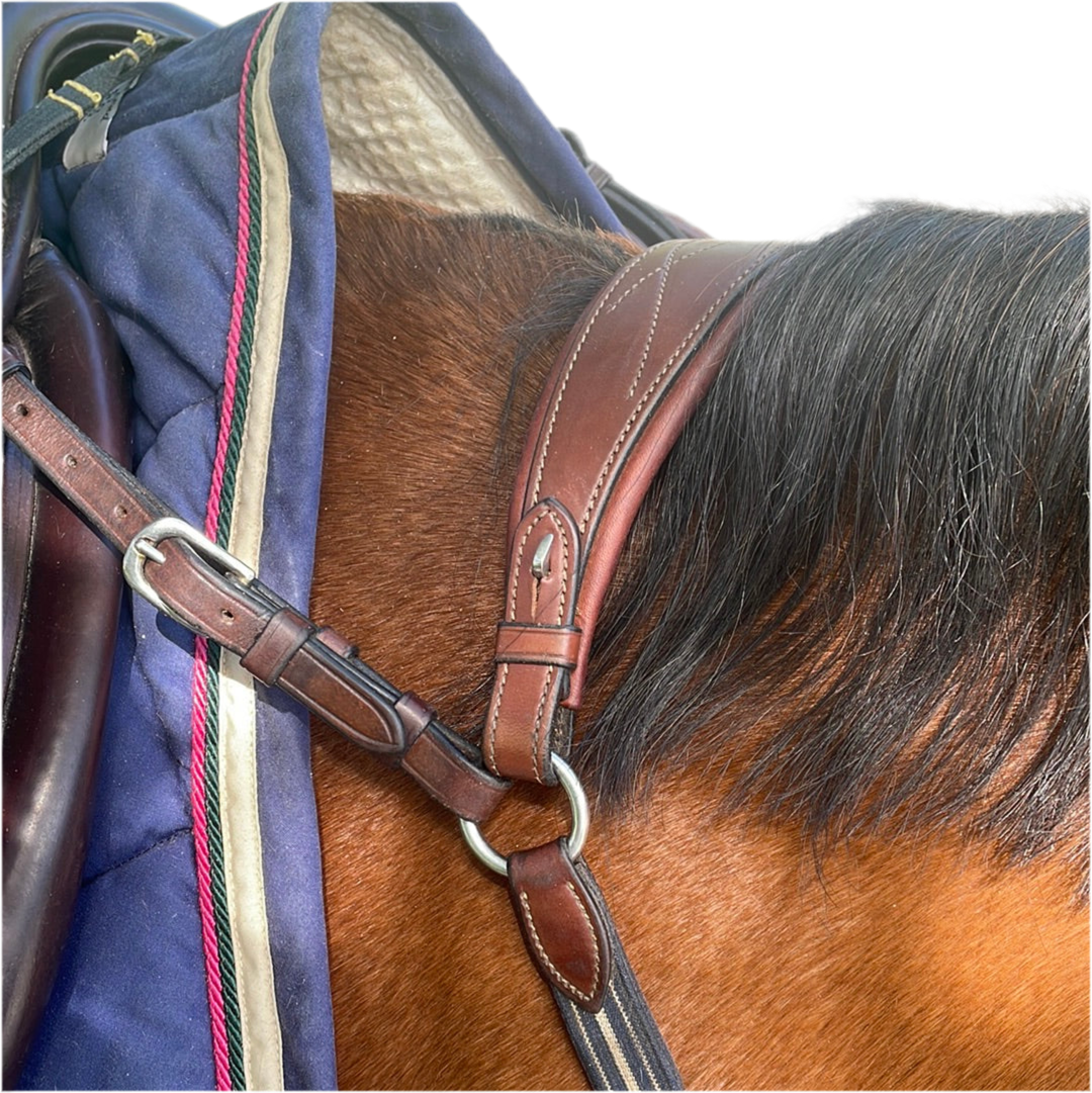 Antares-Jagdhalsband