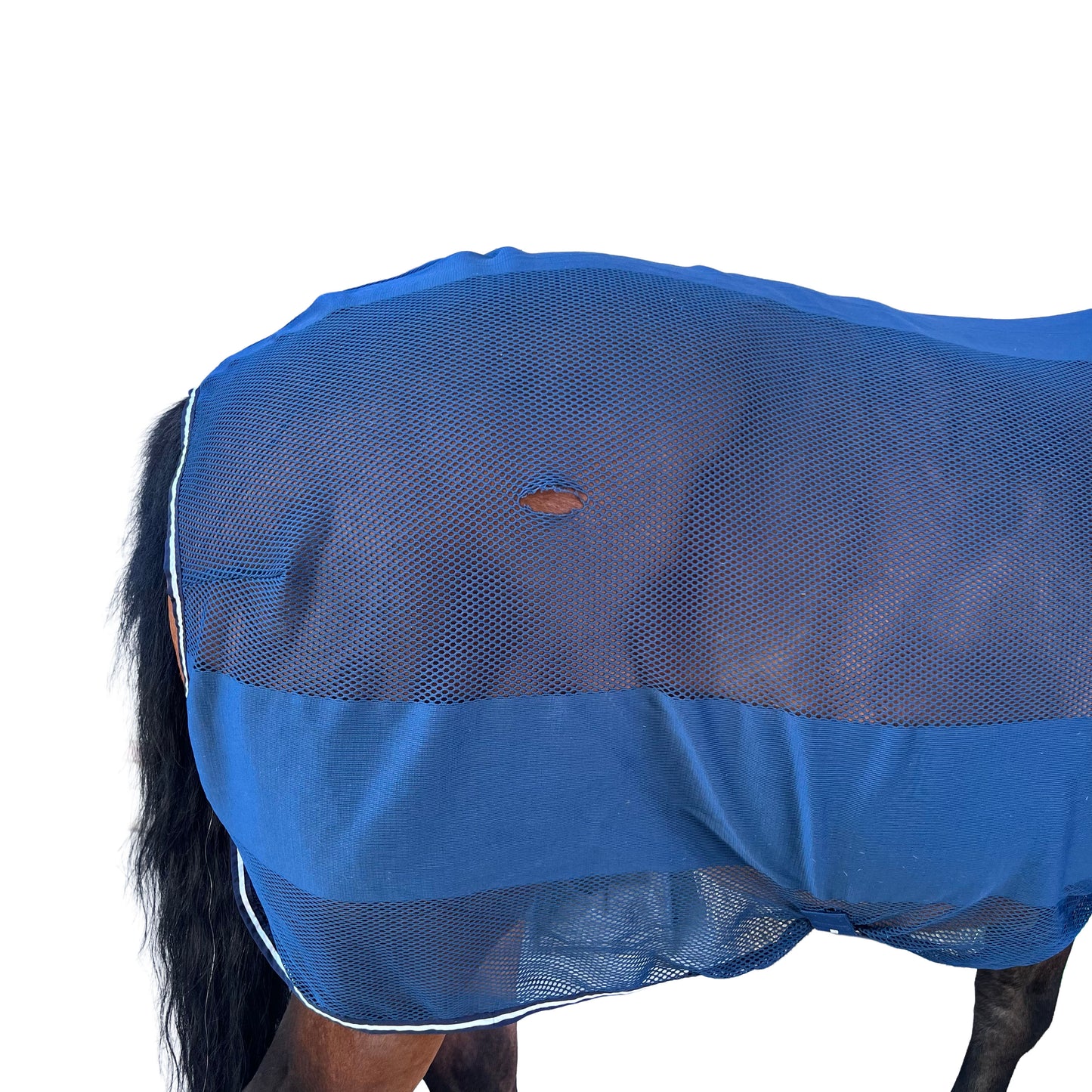 Chemise anti-mouche - Bleu | 145
