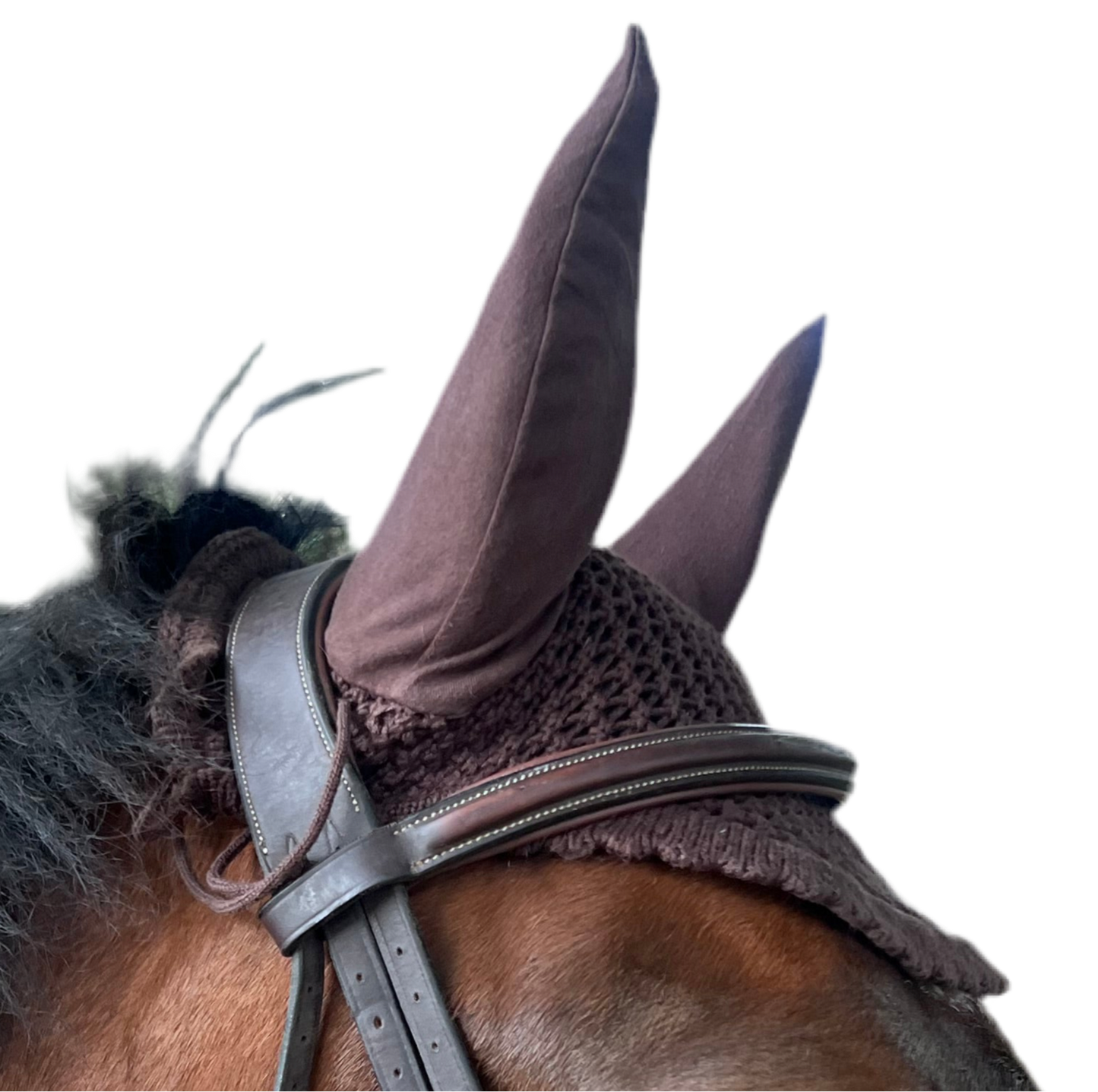 Bonnet