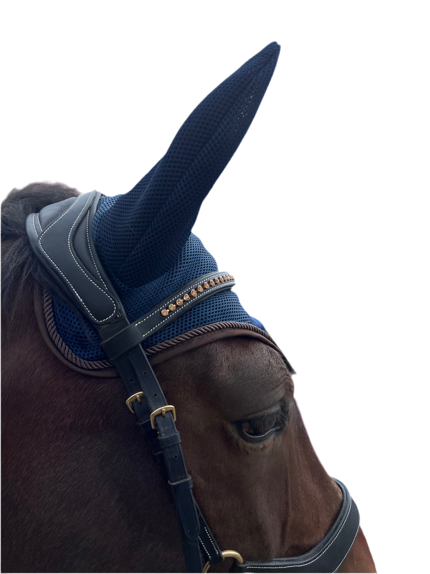 Bonnet Back on Track neuf