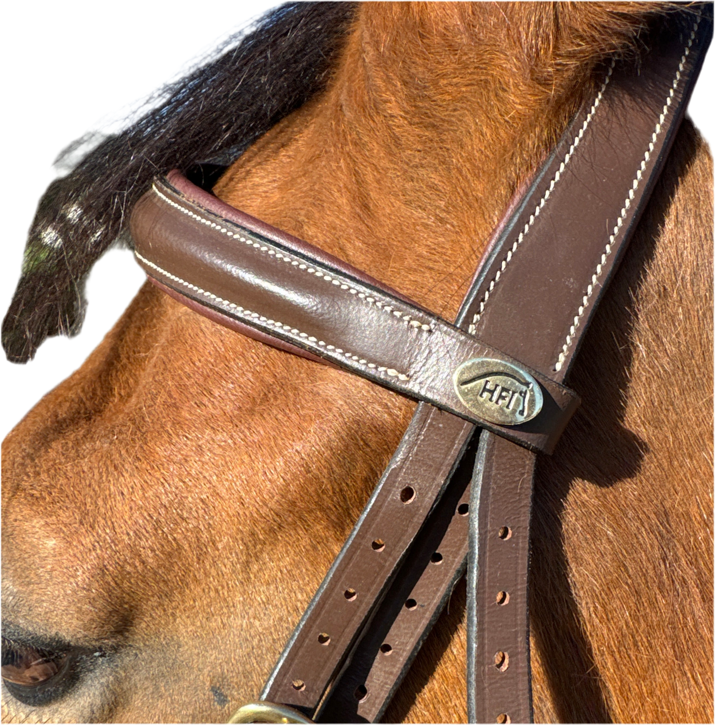 Bridon élégant HFI Tcheval neuf