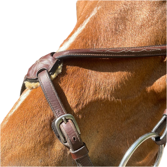 Mexikanisches Reithalfter-Zaumzeug
