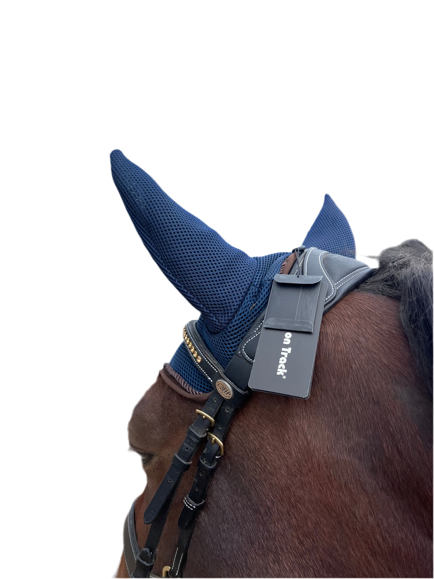 Bonnet Back on Track neuf