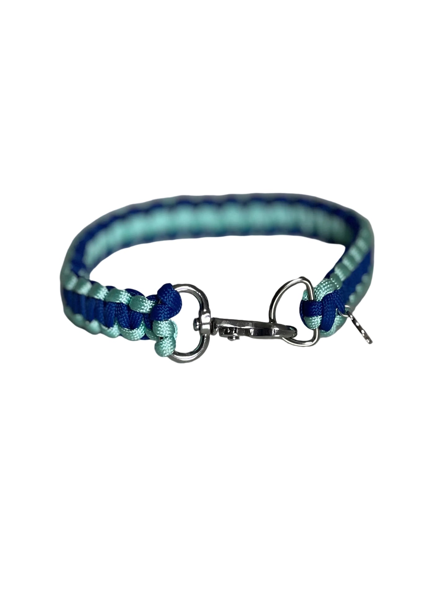 Collier chien Lagoon