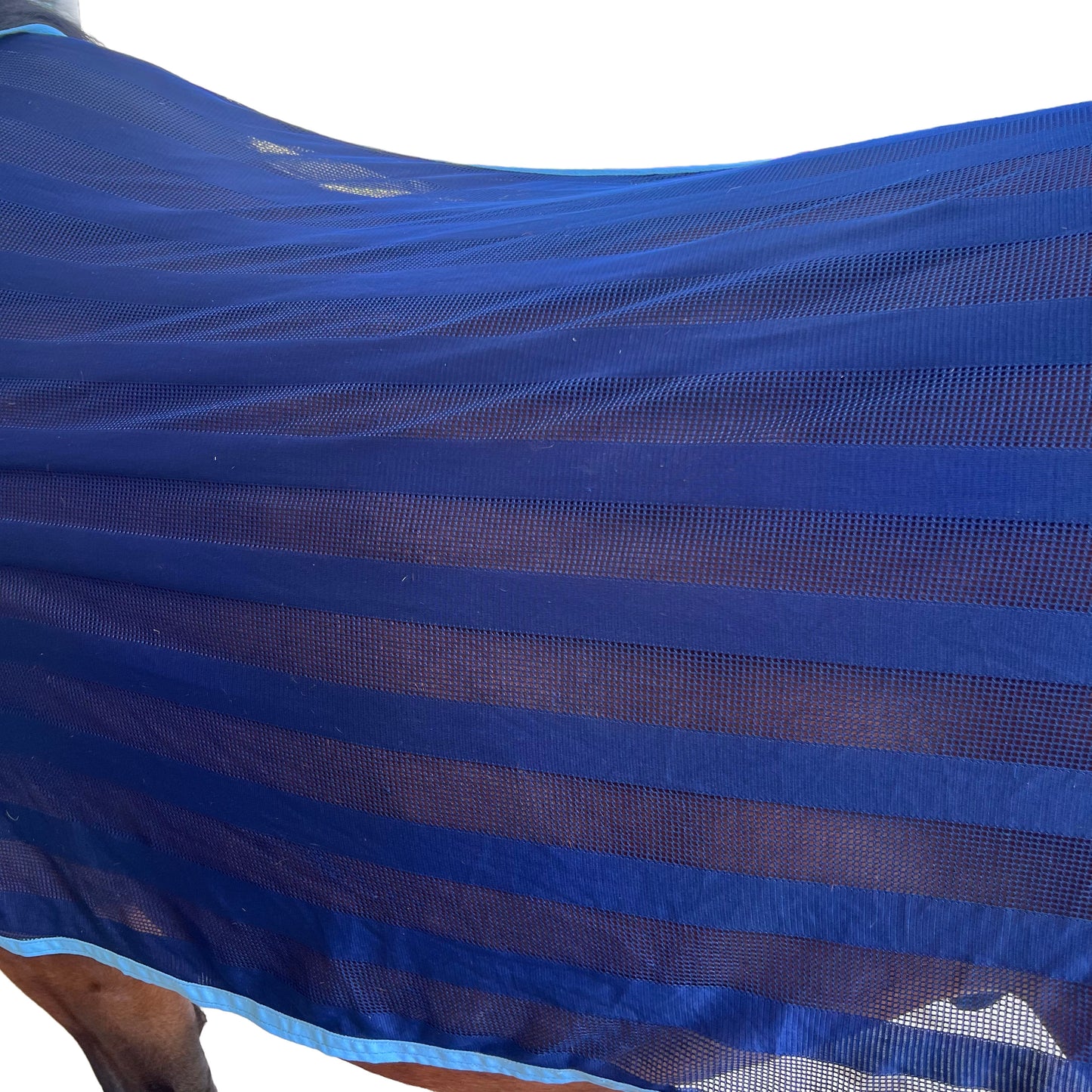 Chemise anti-mouche - Bleu | 145