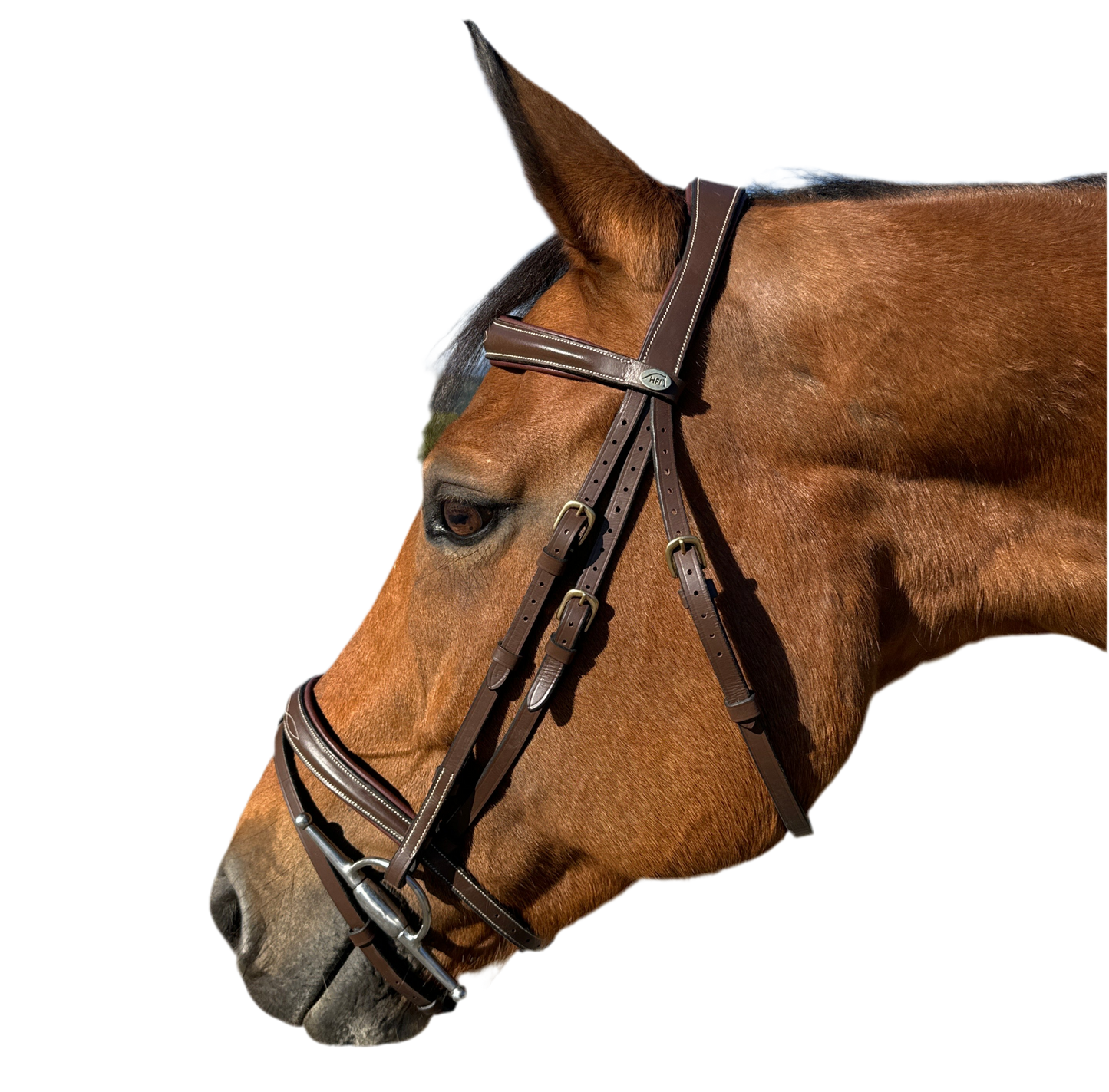Bridon élégant HFI Tcheval neuf