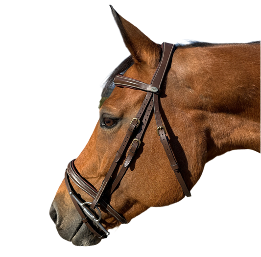 Bridon élégant HFI Tcheval neuf