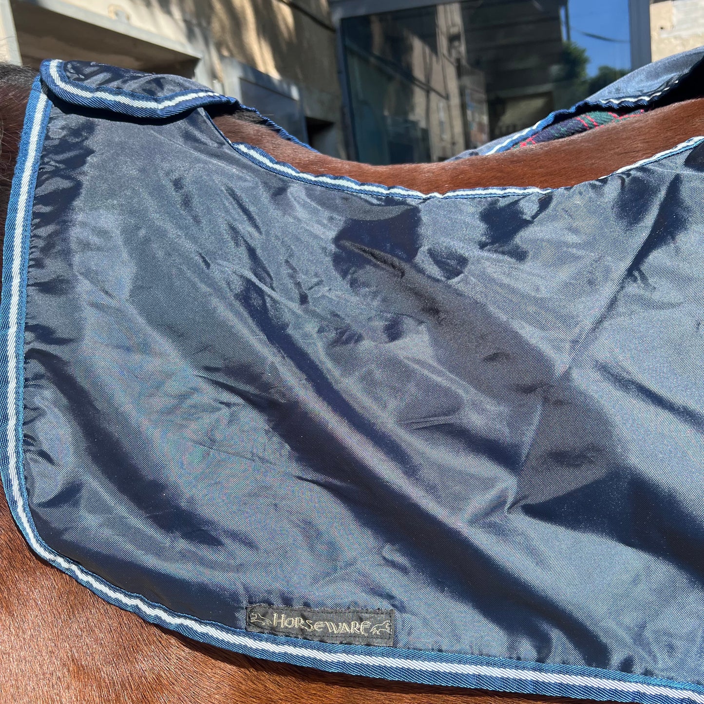 Couvre rein horseware