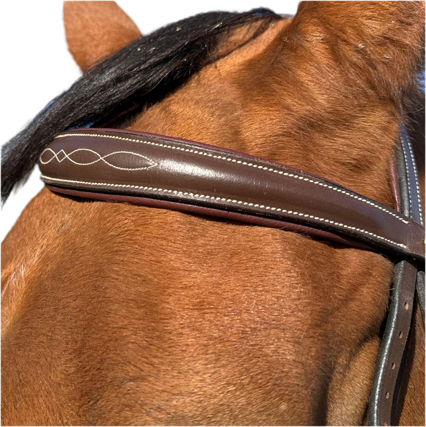 Bridon élégant HFI Tcheval neuf