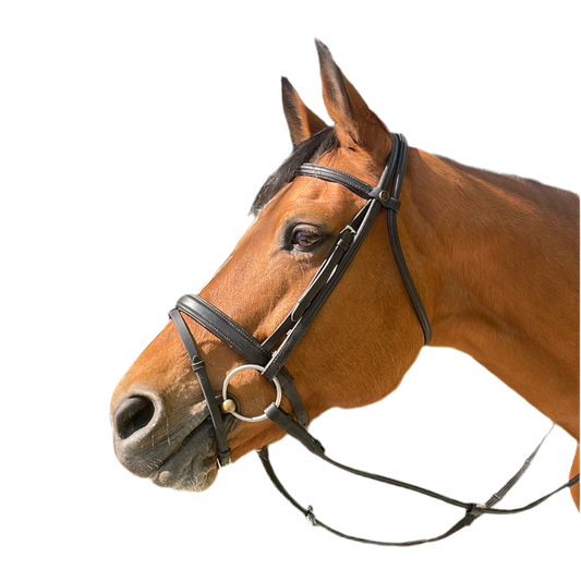 Zaum