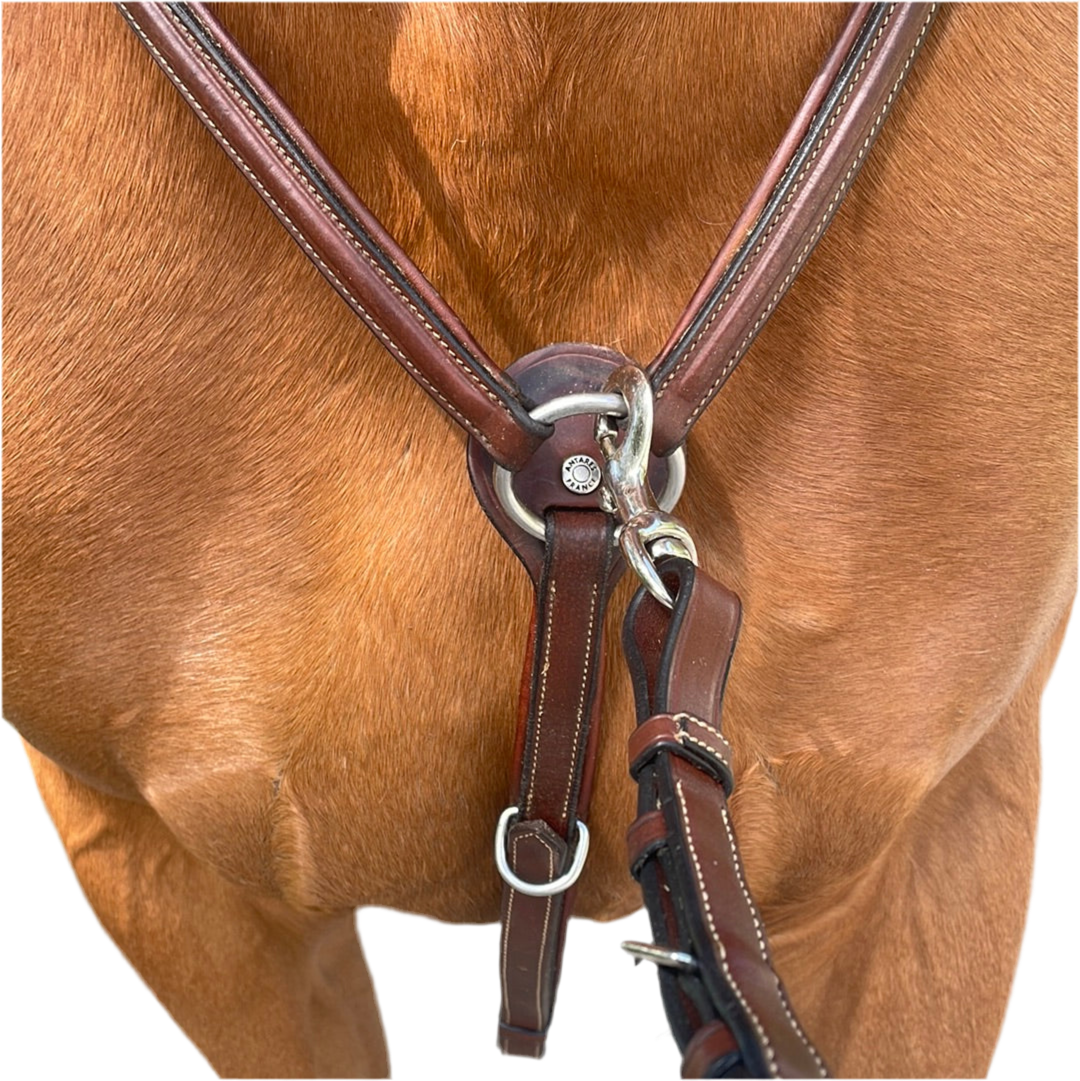 Antares-Jagdhalsband