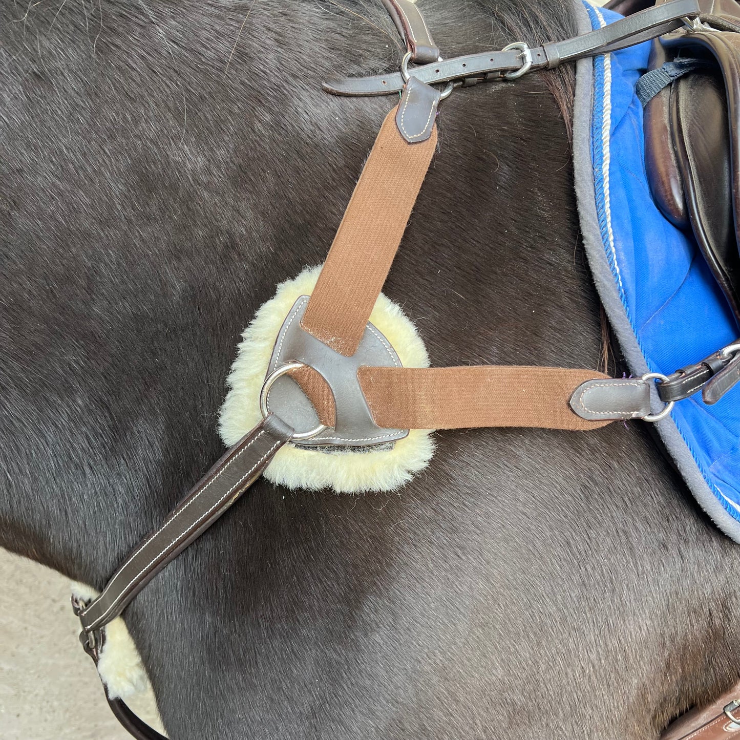 Collier de Chasse mouton