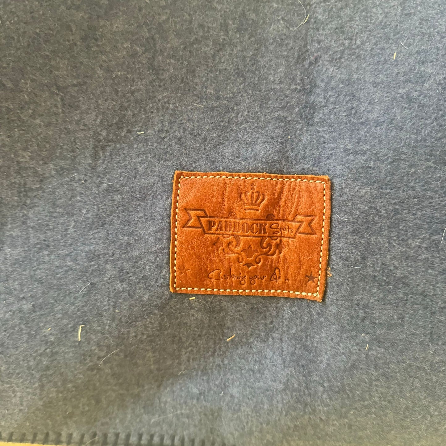 Carré de laine Paddock sports