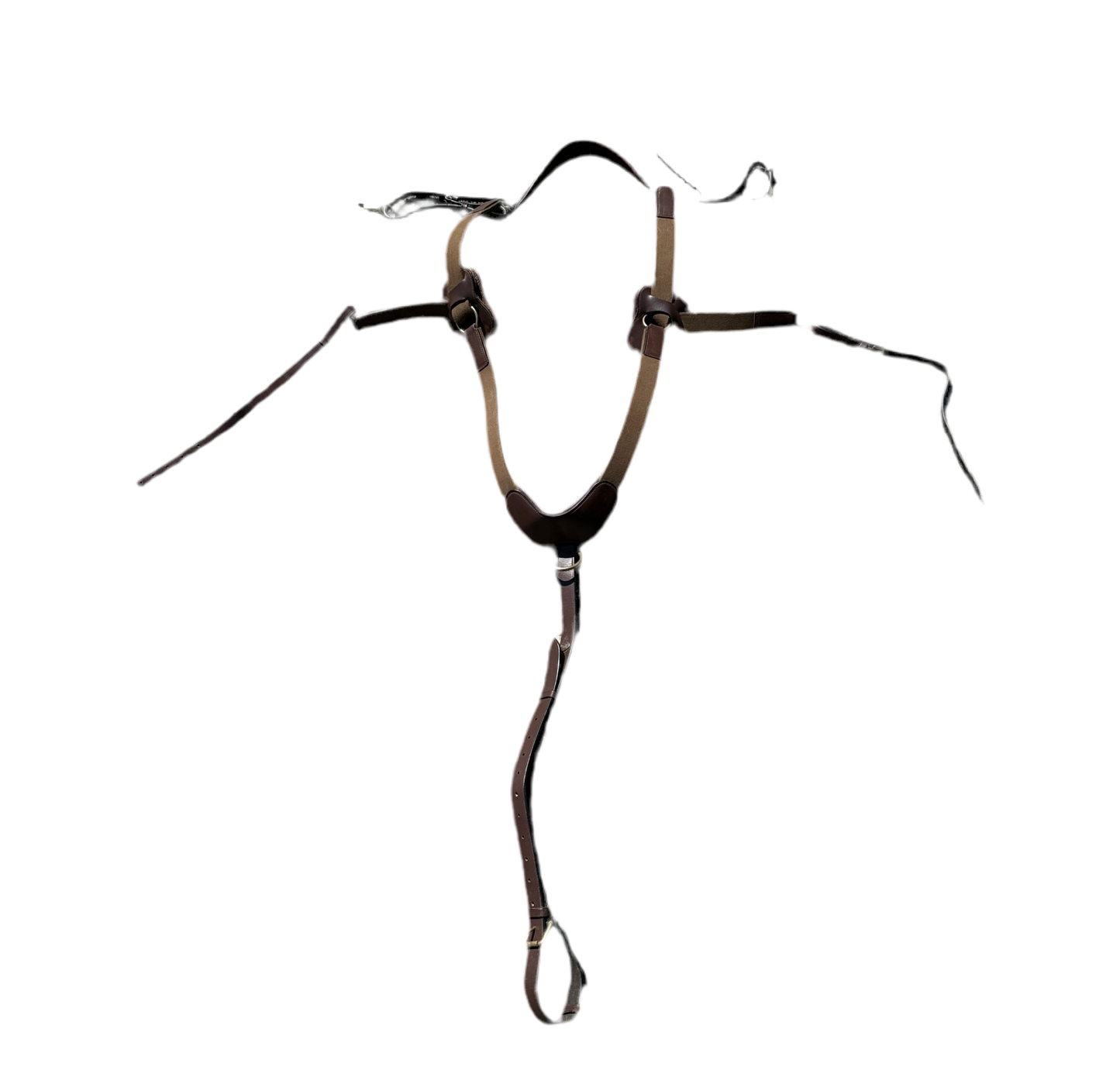 Collier de chasse HFI
