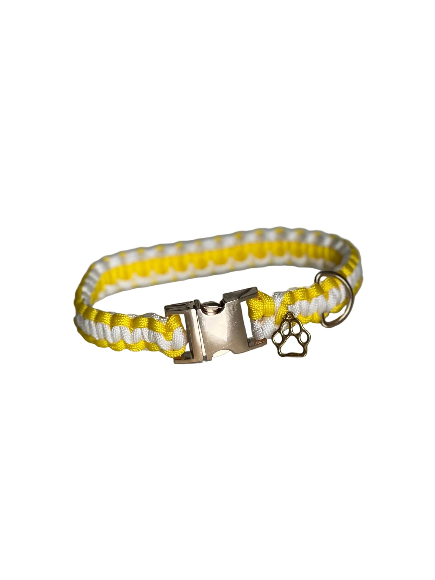 Collier chien