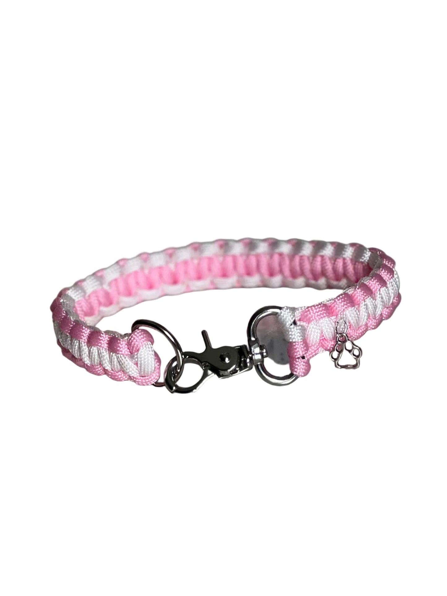 Collier chien