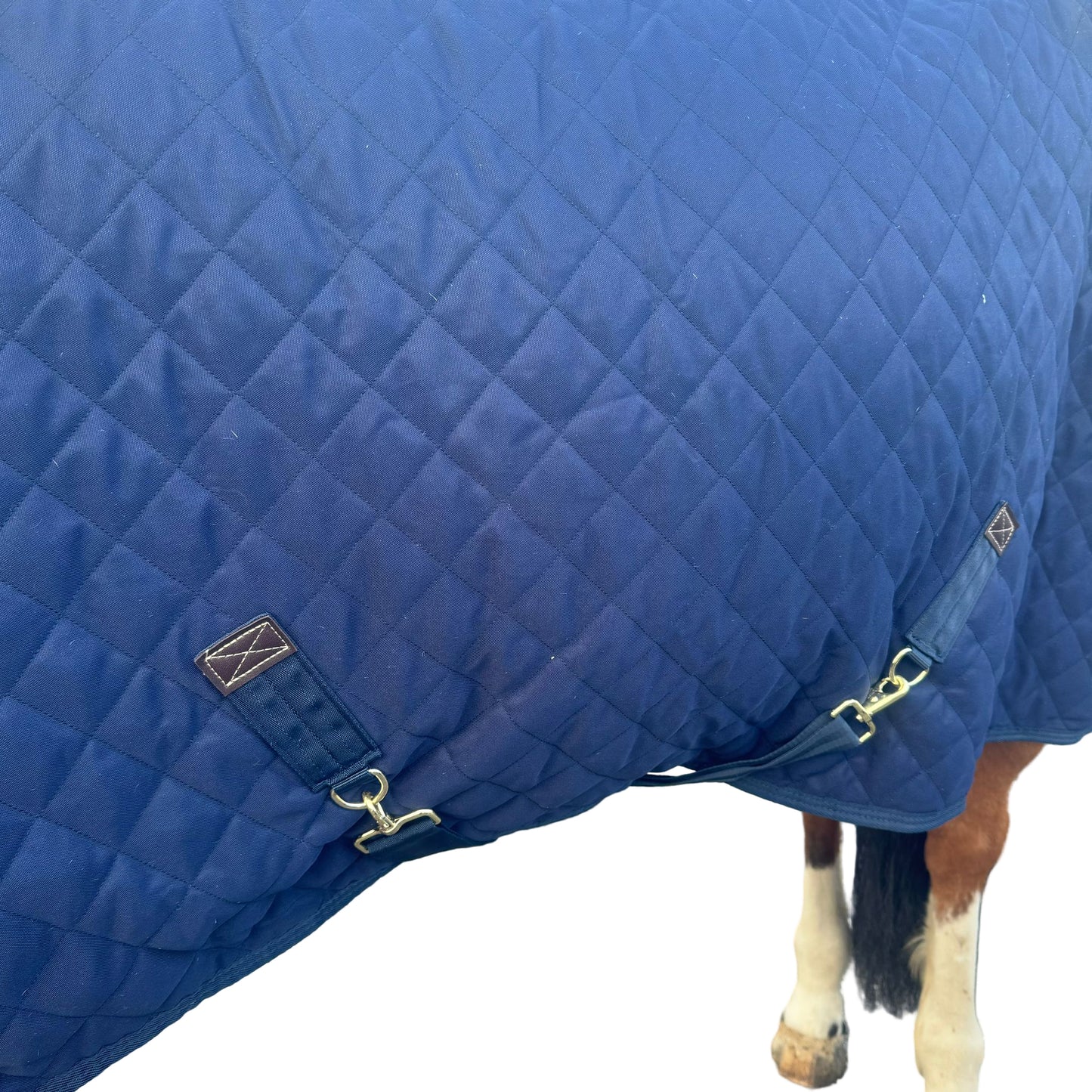 Couverture Kentucky T155