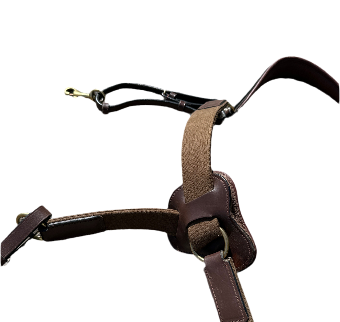 Collier de chasse HFI