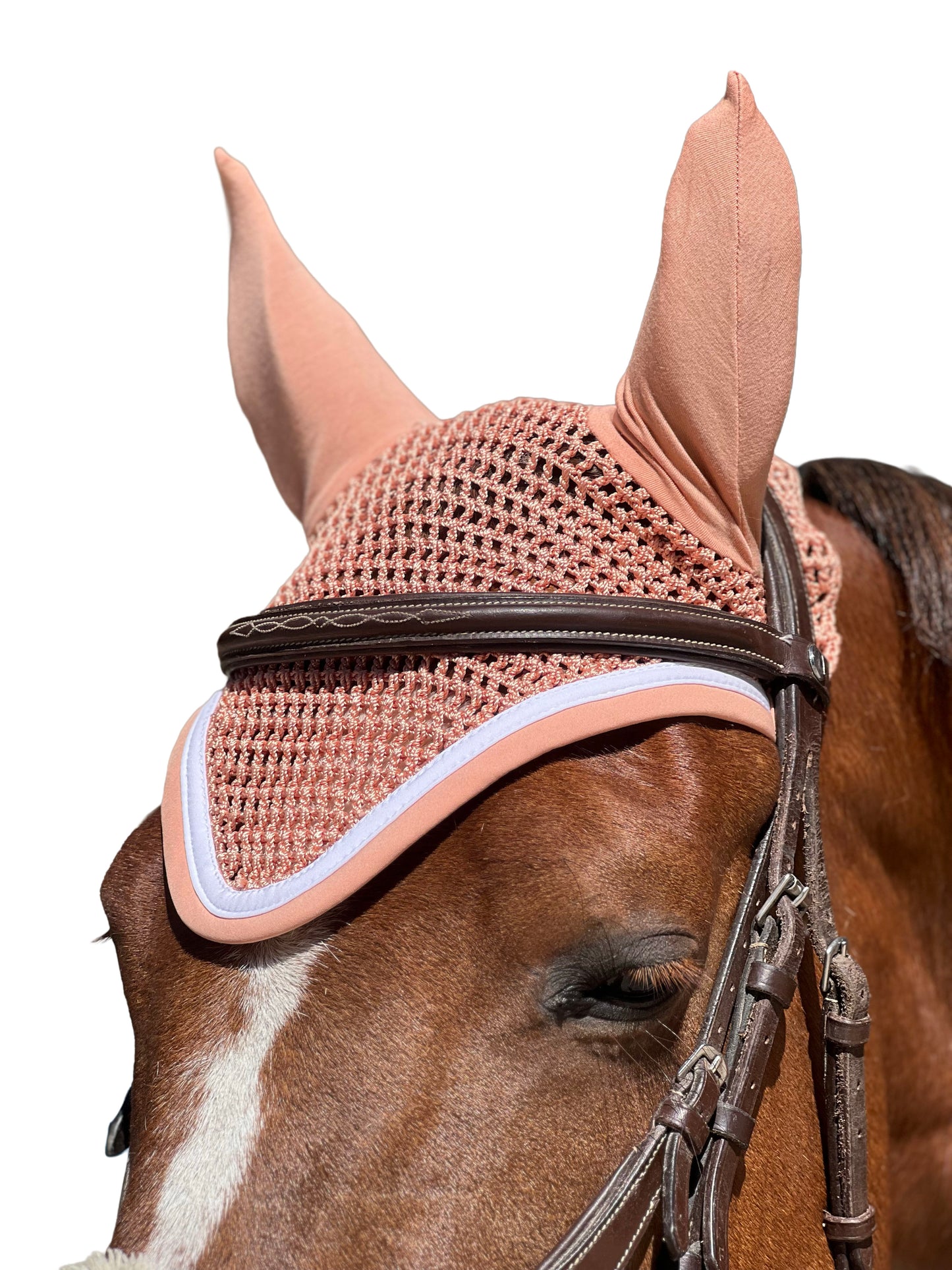 Bonnet Harcour — Pêche | poney