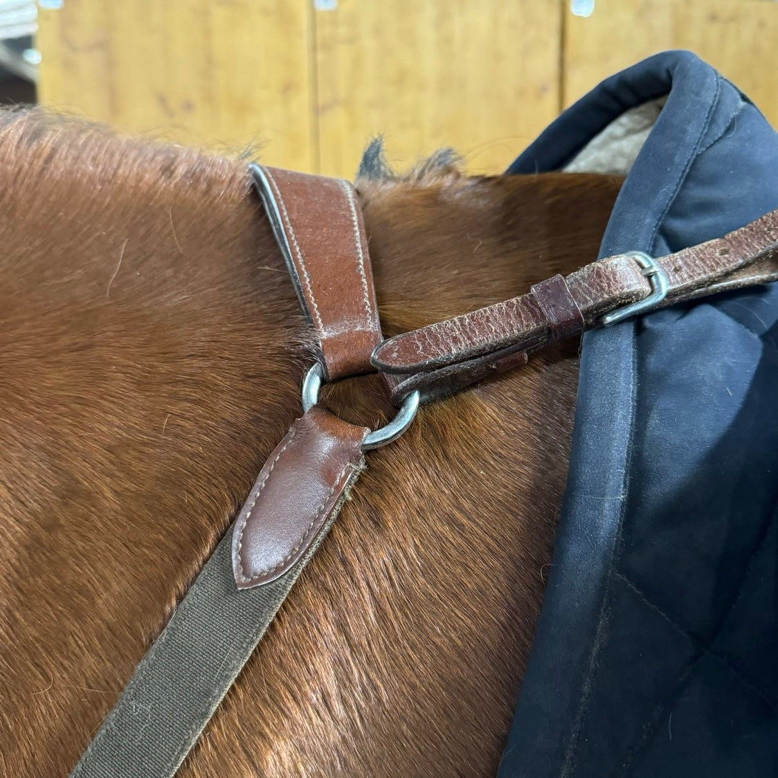 Pony-Jagdhalsband