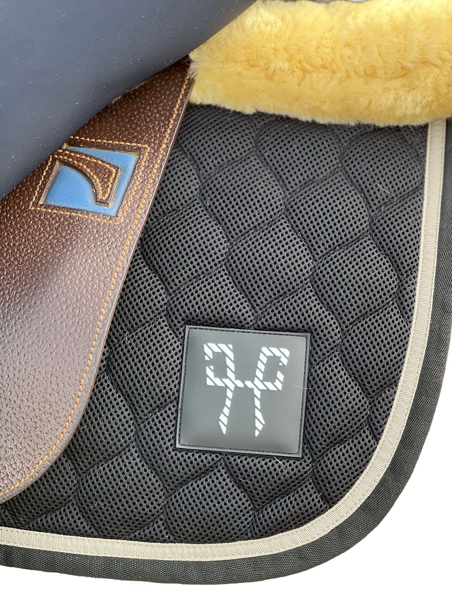Tapis horse pilot