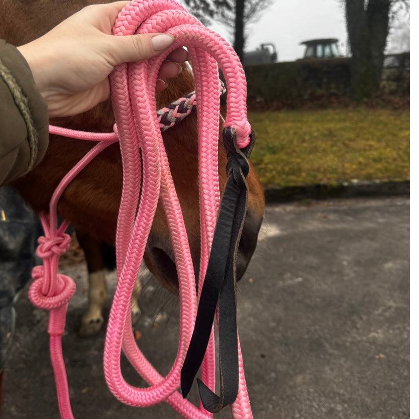 Licol éthologique + longe