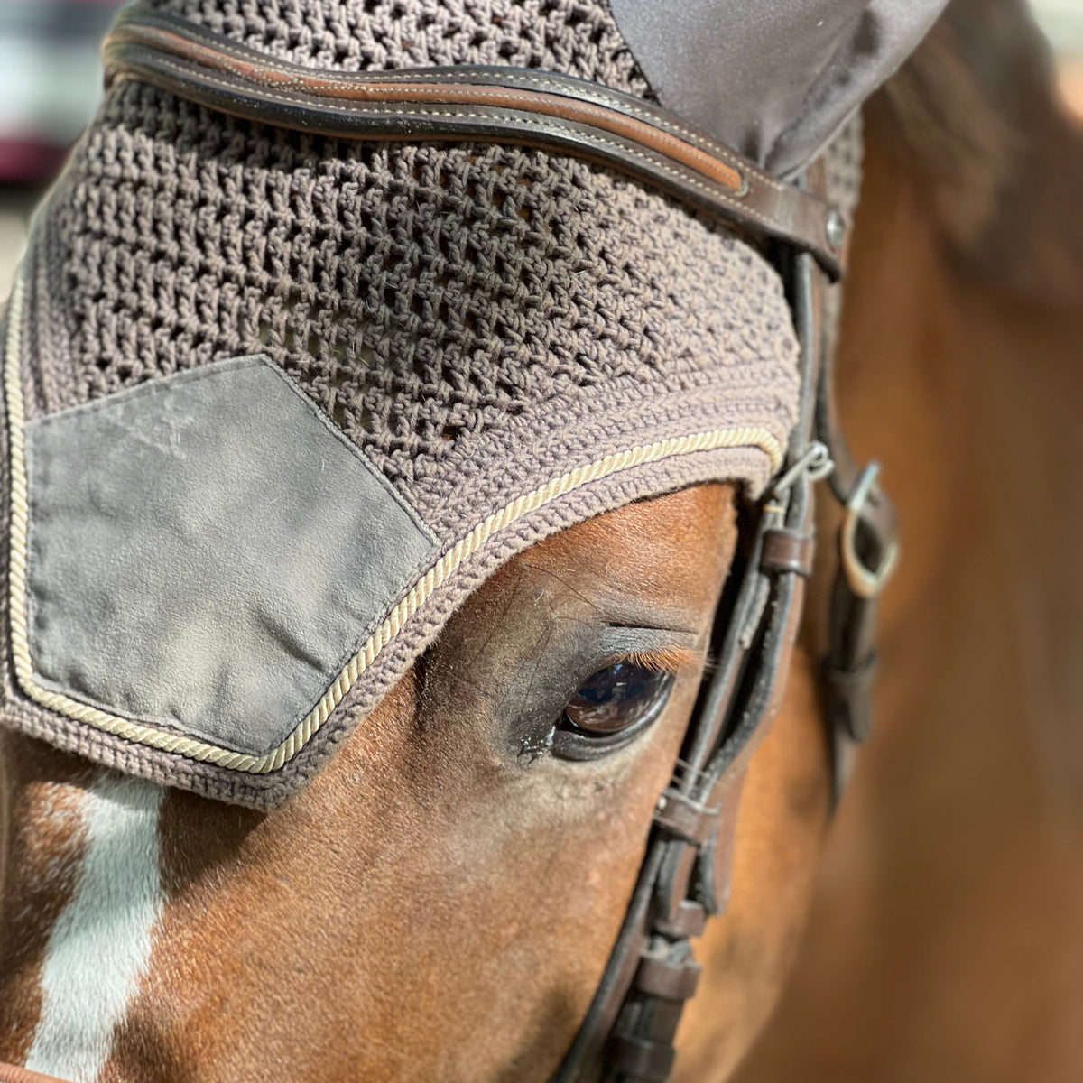 Bonnet Kentucky velvet-Cob