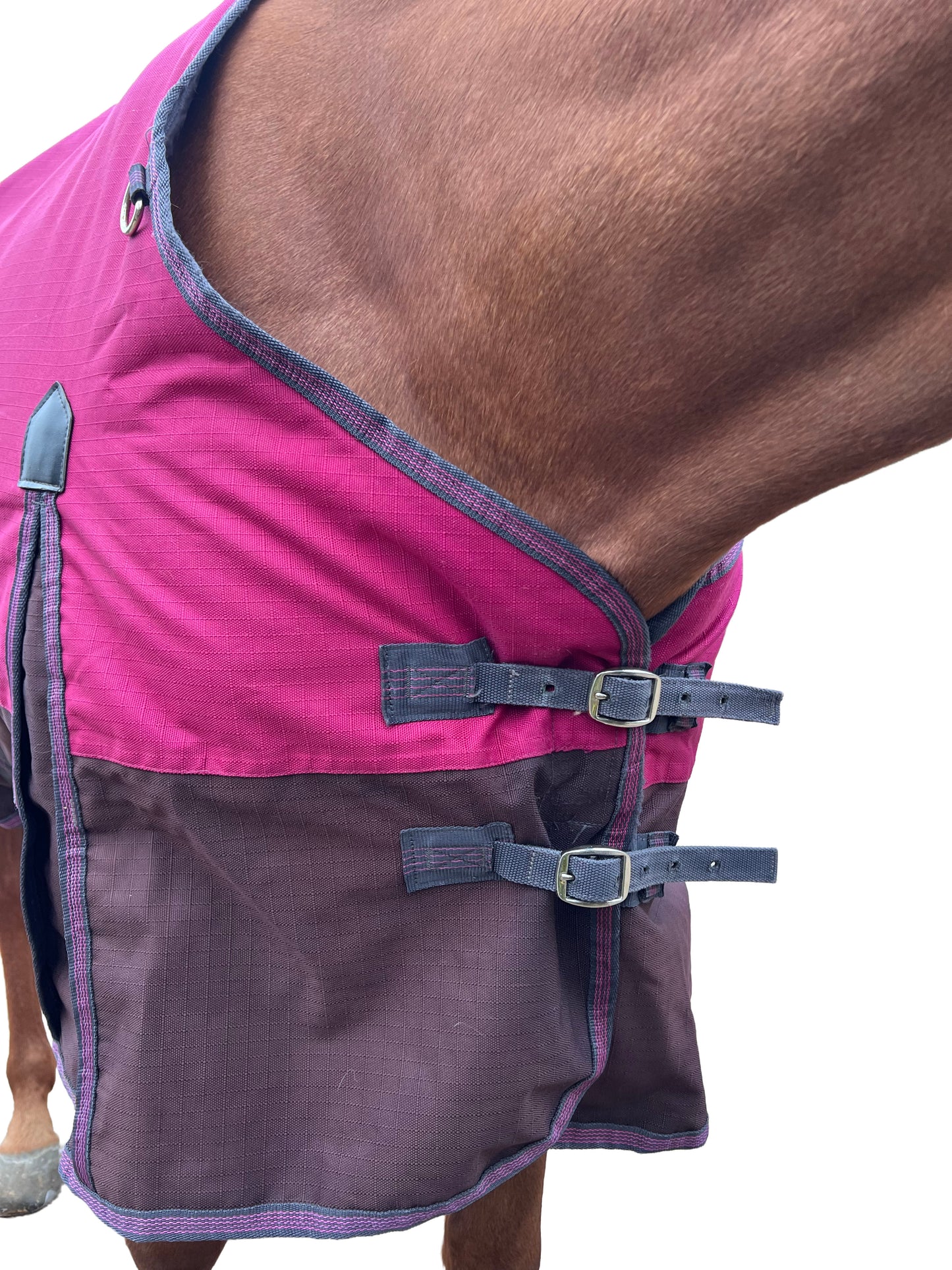 Couverture Weatherbeeta 220g 125cm