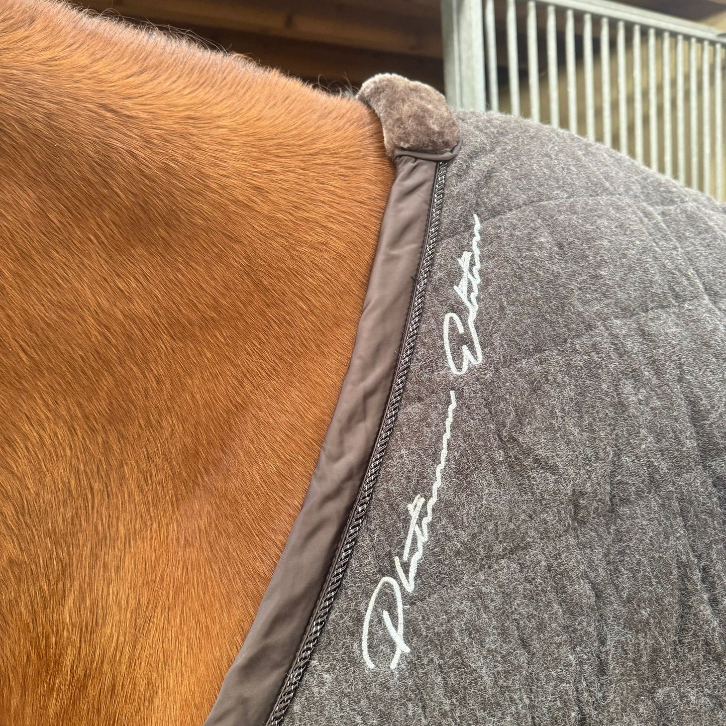 Couverture Eskadron XL