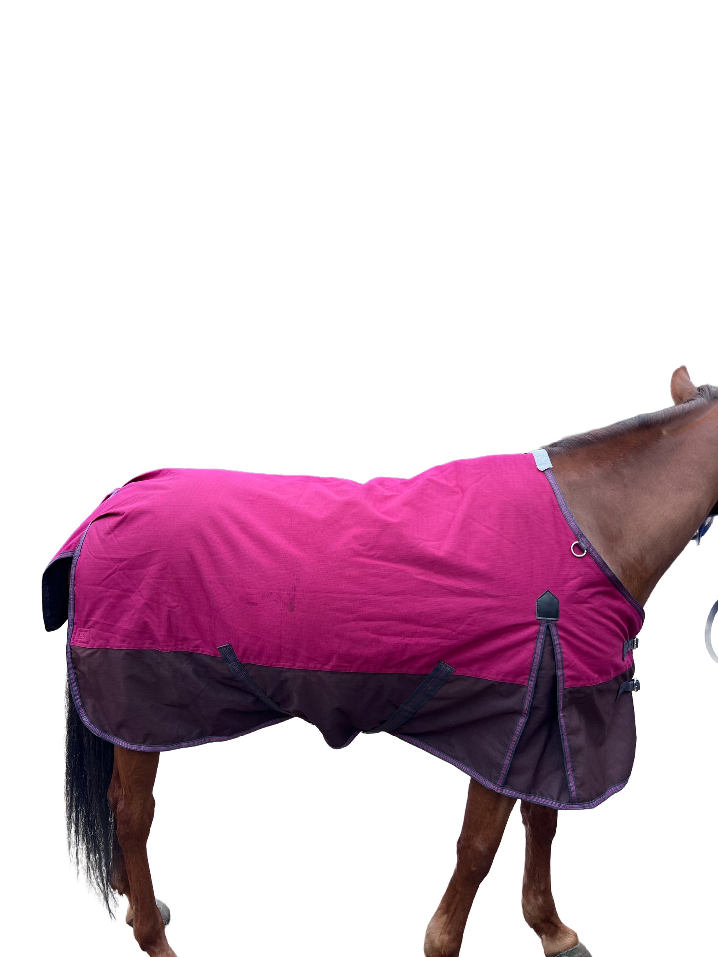 Couverture Weatherbeeta 220g 125cm