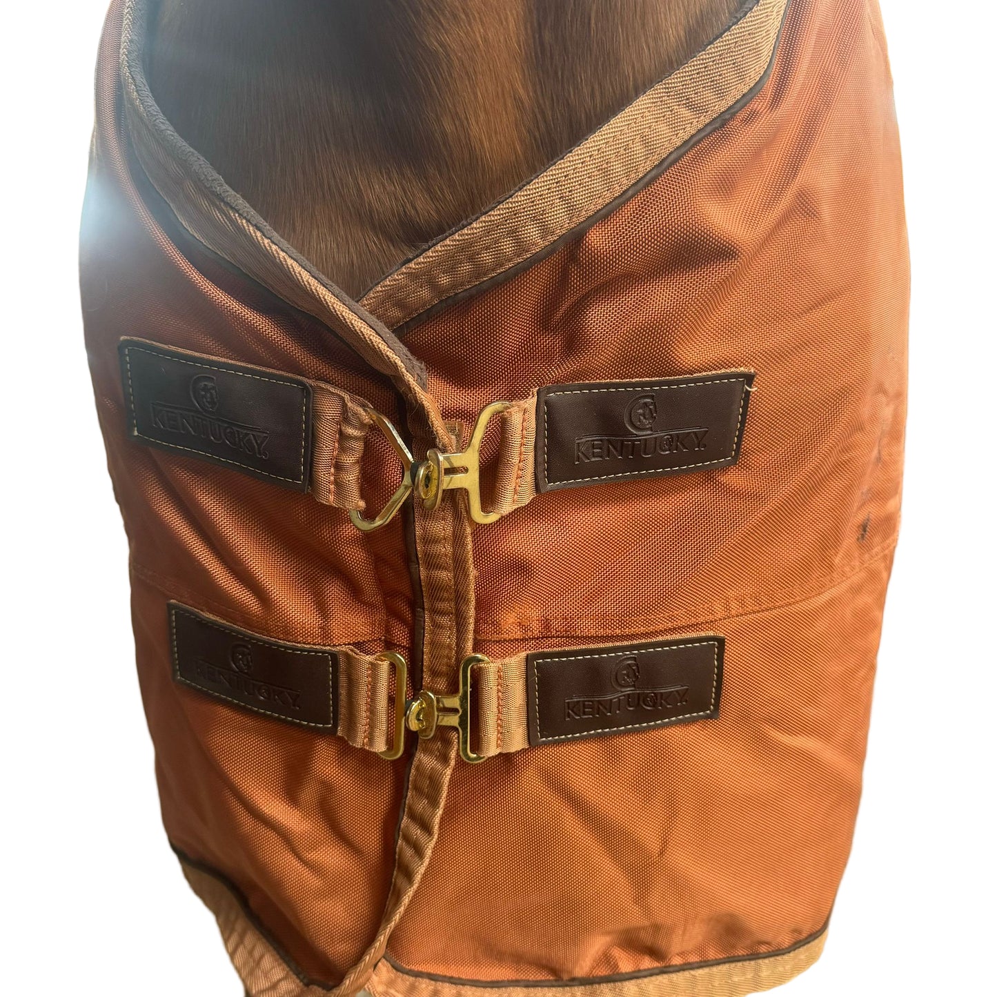 Couverture Kentucky T145