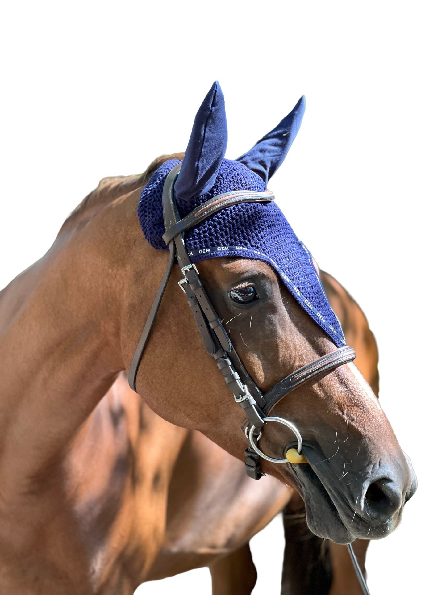 Bonnet GEM - Cob