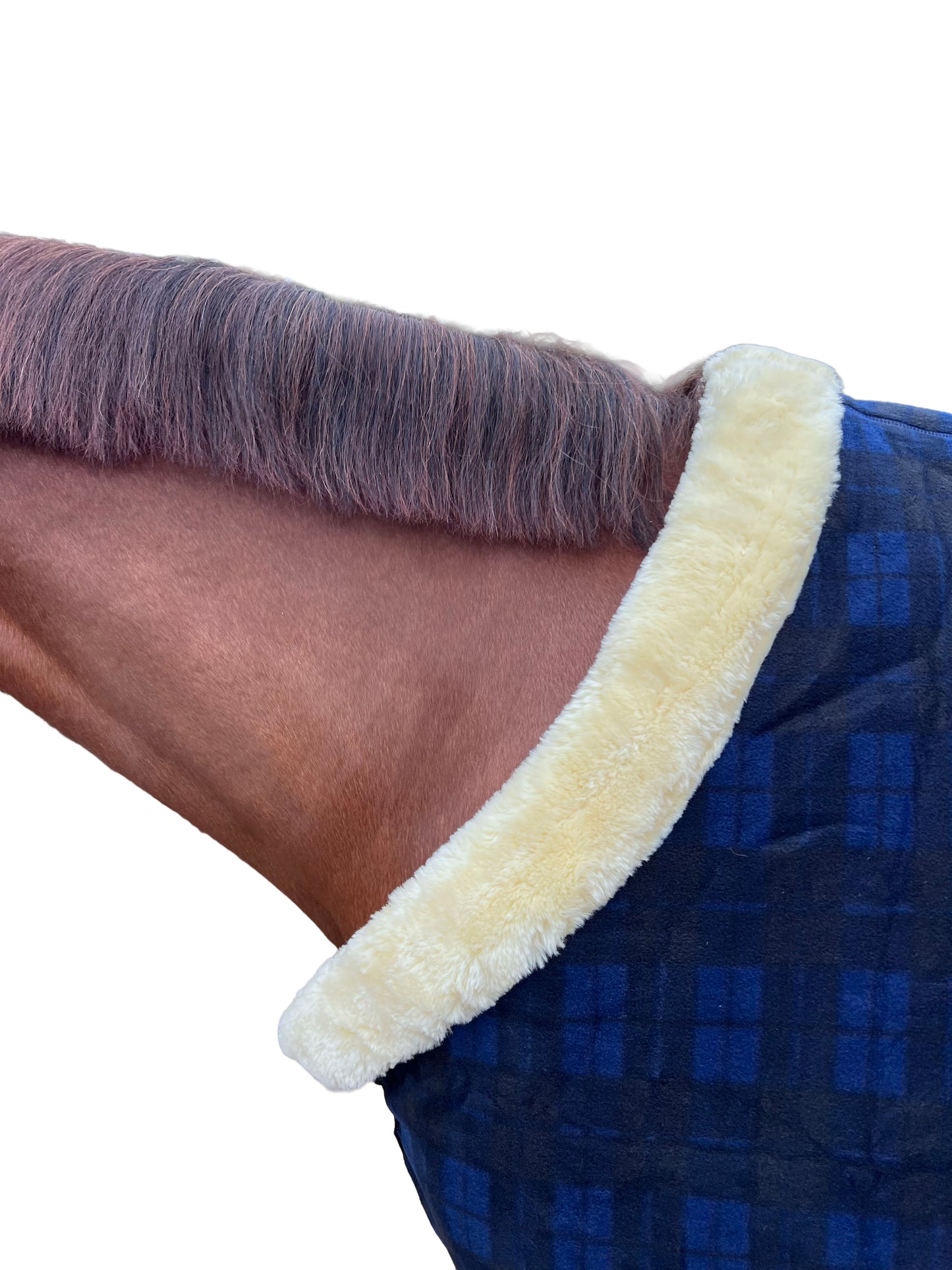 Trockendecke Show Fleece schwer Kentucky 145cm