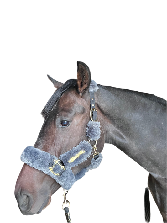 Licol Kentucky poney