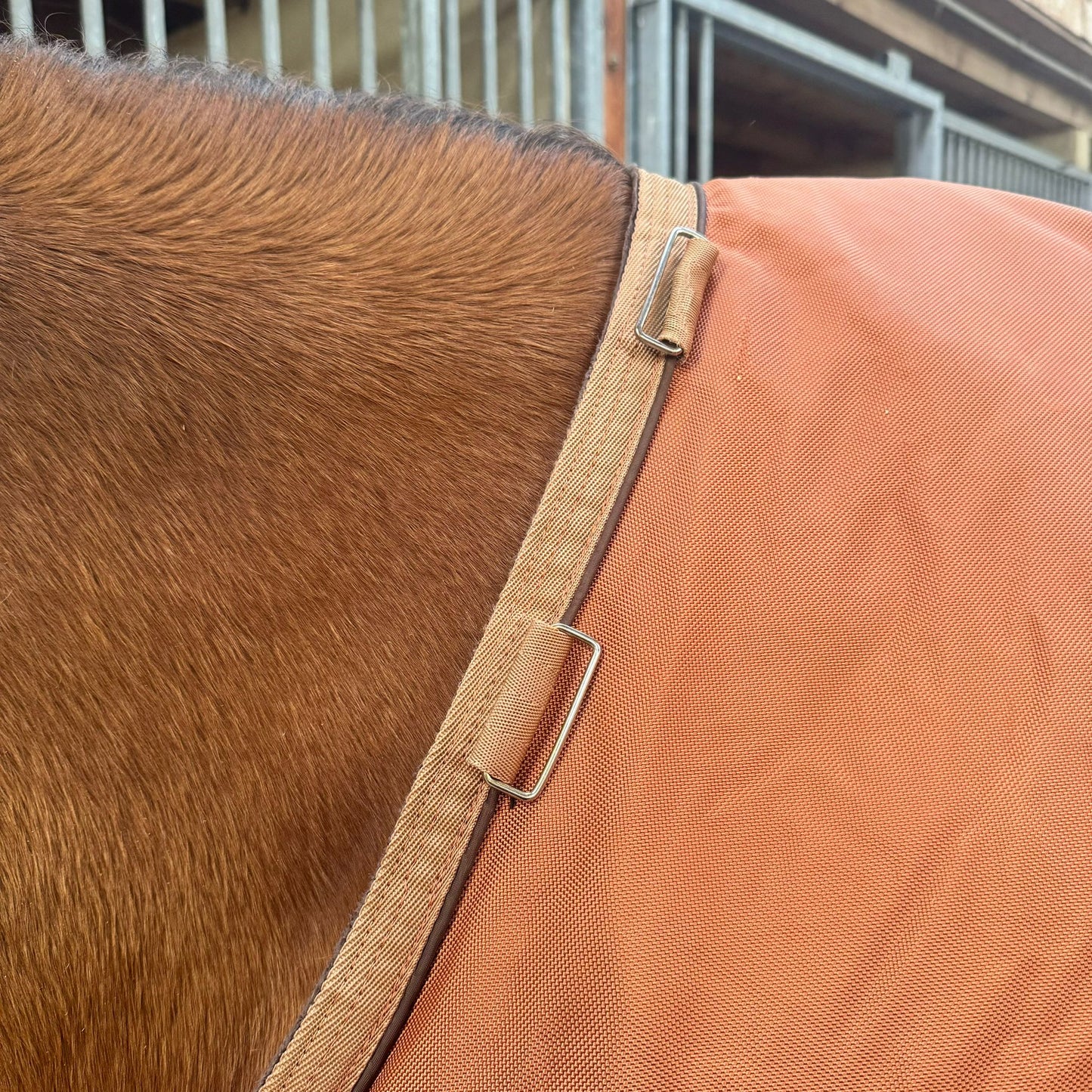 Couverture Kentucky T145