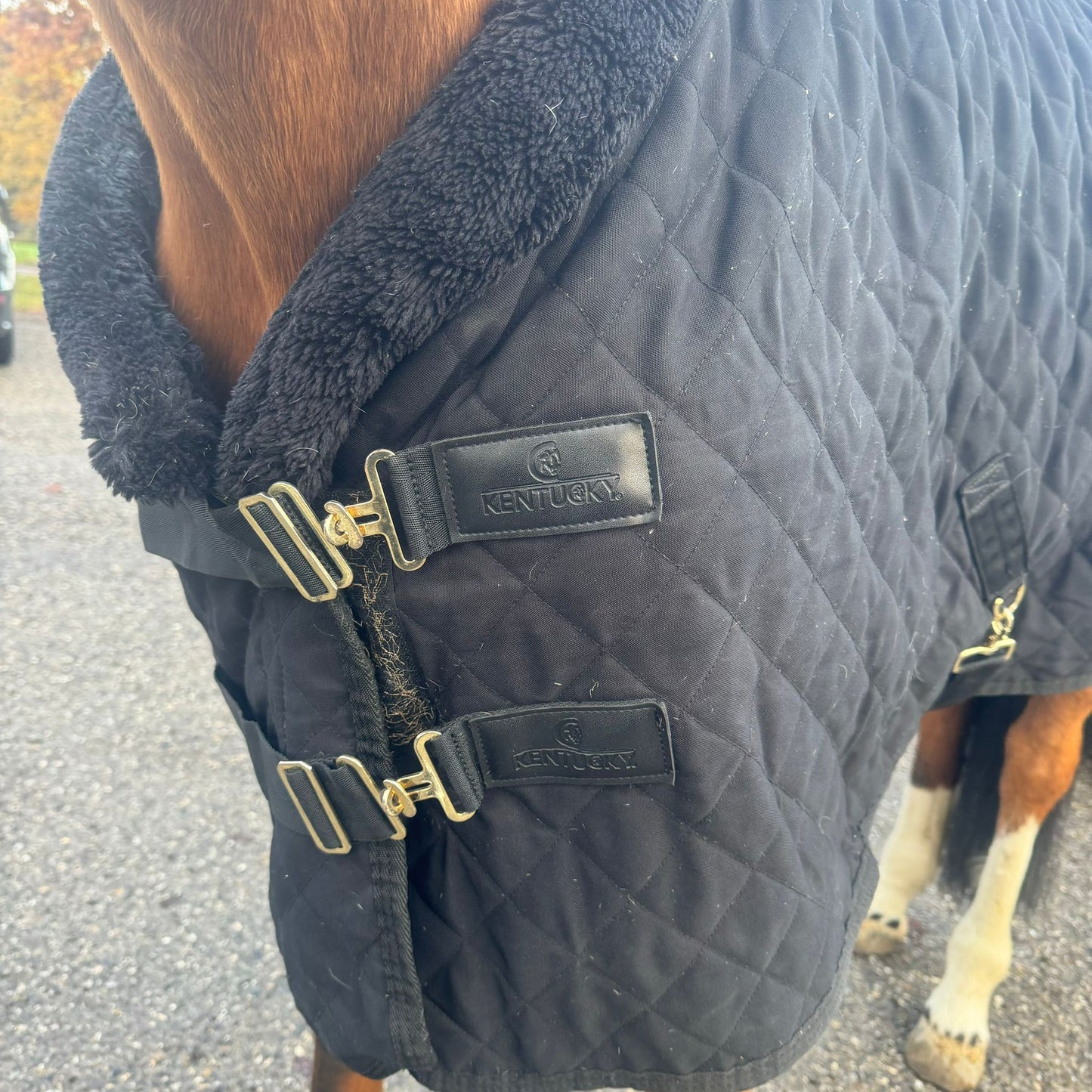 Couverture Kentucky T155