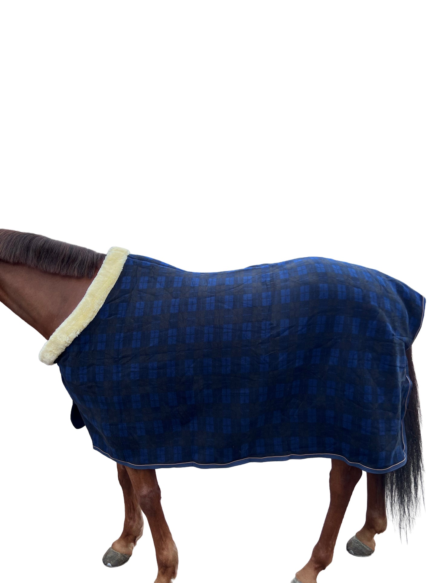 Trockendecke Show Fleece schwer Kentucky 145cm