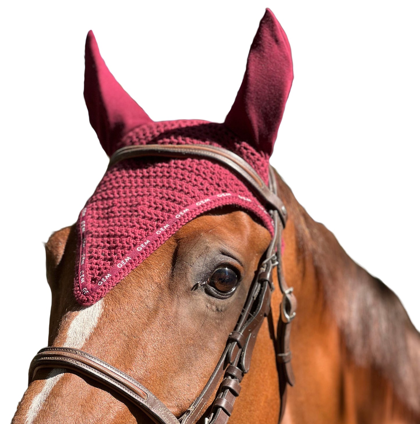 Bonnet GEM - Cob
