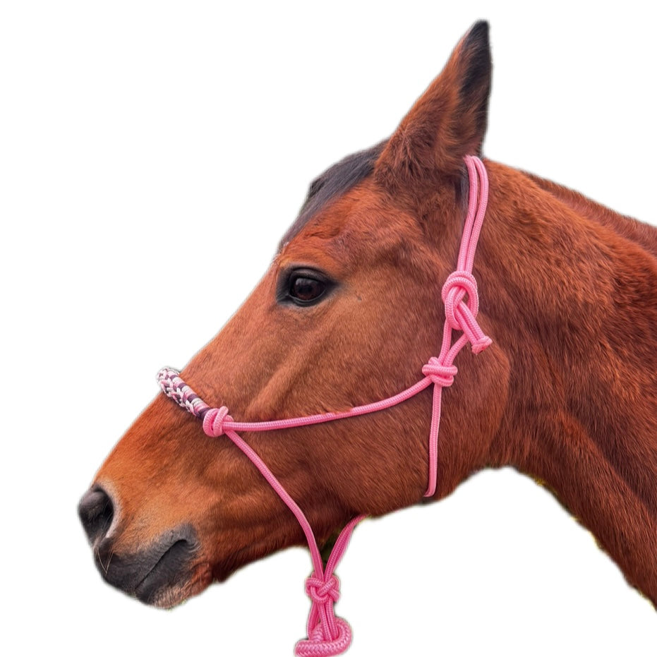 Licol éthologique + longe