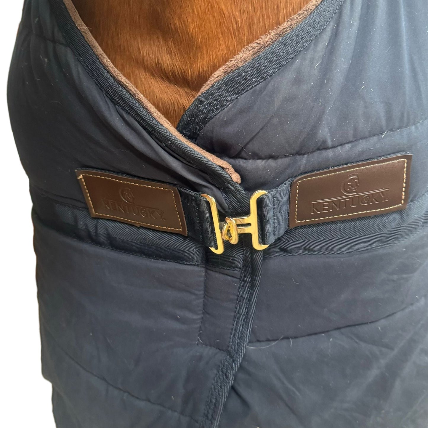 Sous-couverture Kentucky T155