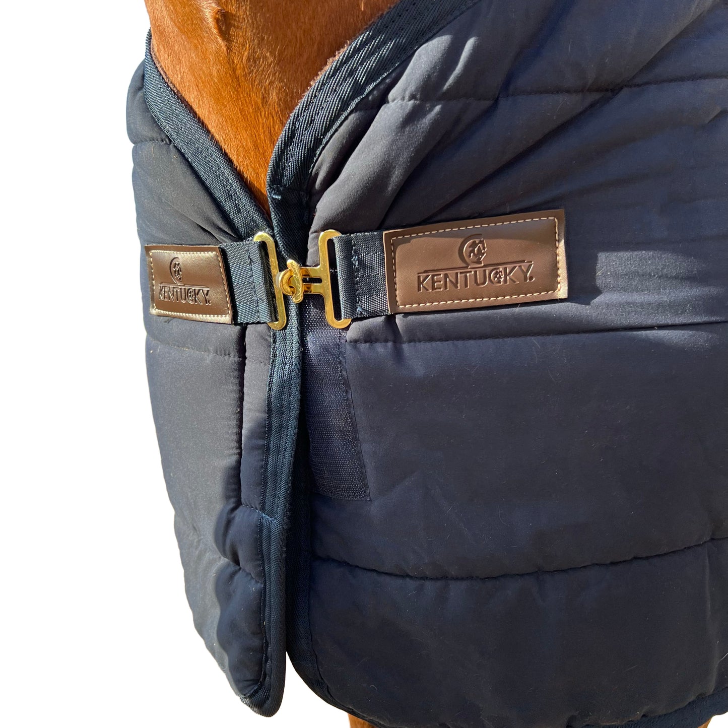 Sous-couverture 300g Kentucky- Bleu | 135