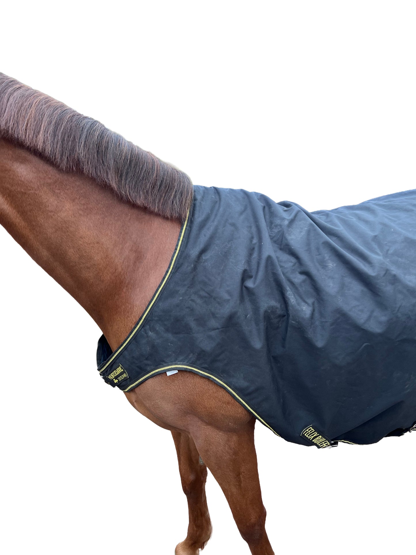 Couverture de marcheur Félix Bühler x Horseware — Noir | XL